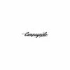 Campagnolo® Jante Campagnolo Shamal Ultra WH-003SHT Titanium - [16 T] -Vélos Soldes Boutique jante campagnolo shamal ultra wh 003sht titanium 16 t